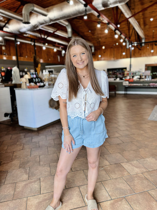 Pinstripe Chambray Shorts